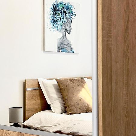 Phoenix Central Apartments Сибиу Экстерьер фото