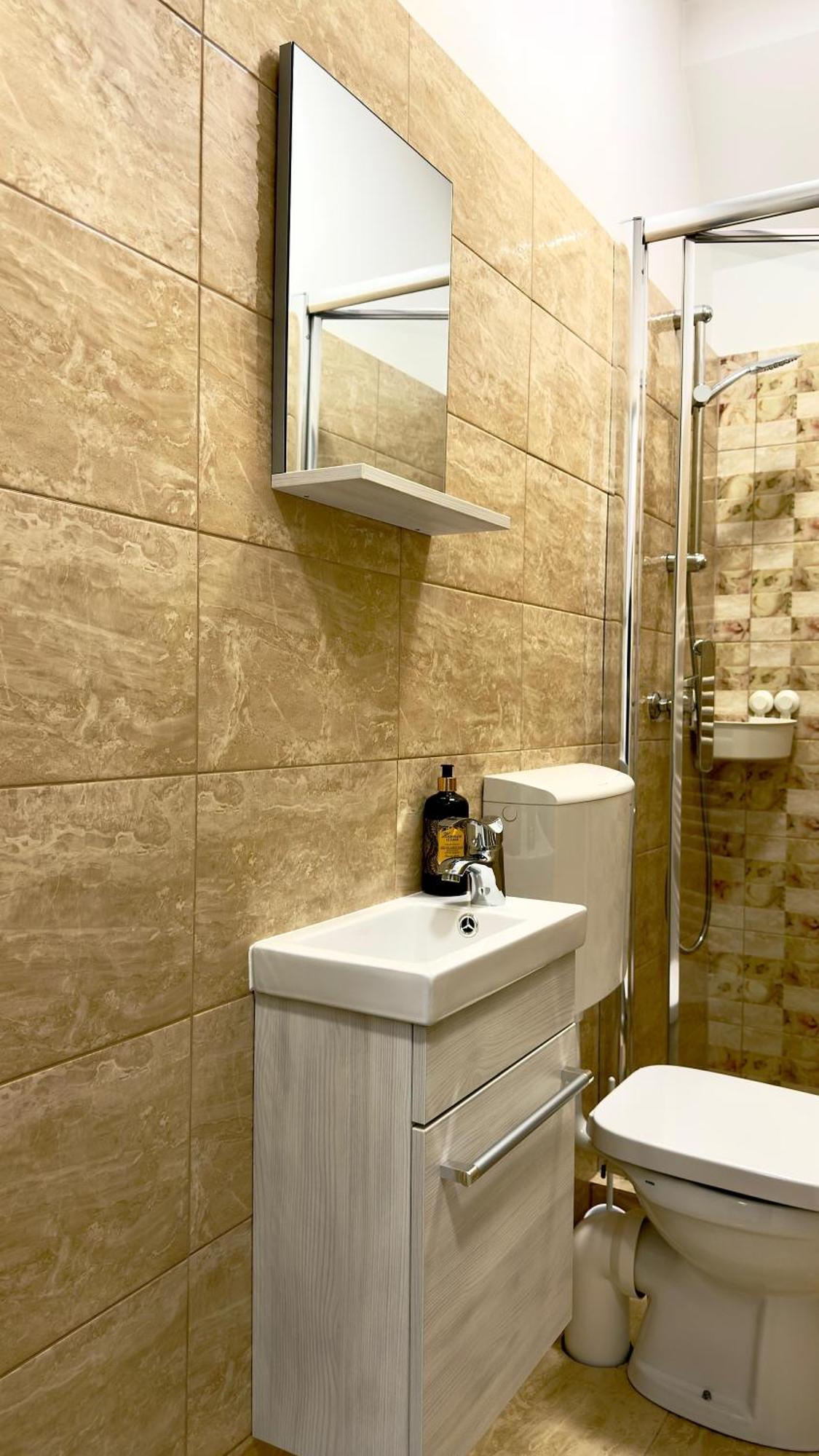 Phoenix Central Apartments Сибиу Экстерьер фото